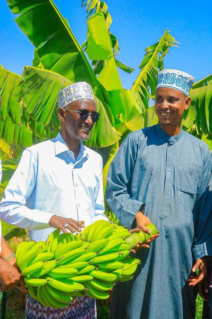 Afar National Regional State President Office tweet media