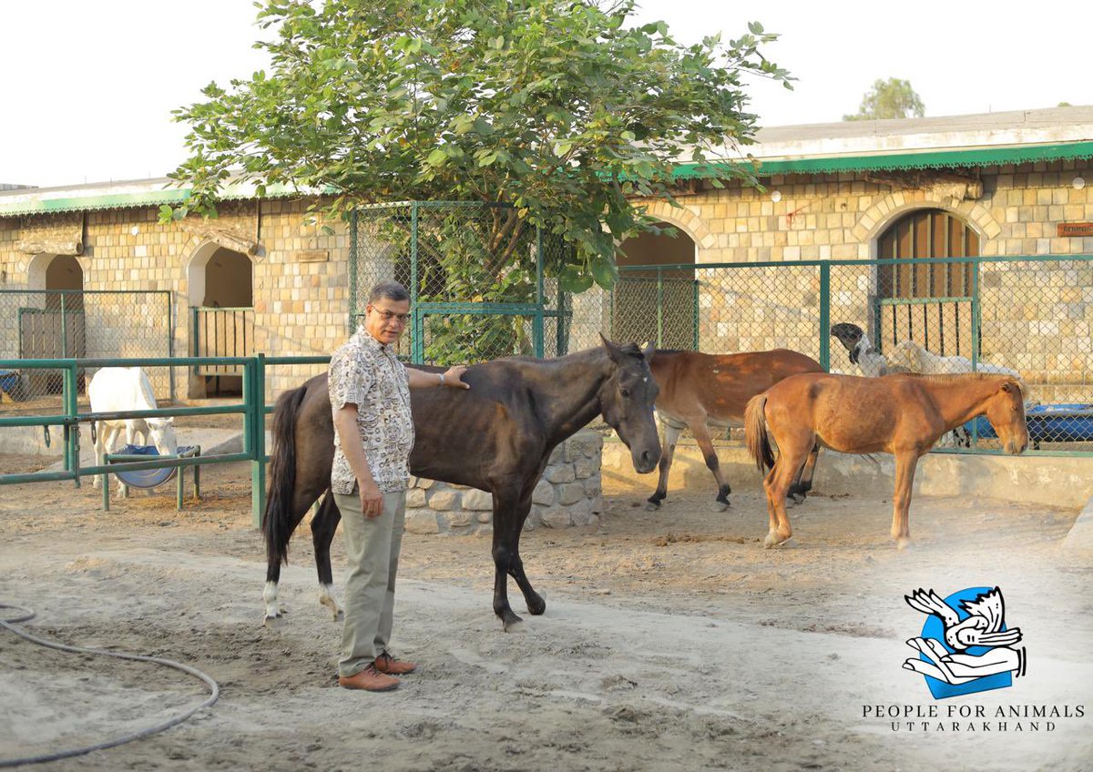 Gauri Maulekhi tweet media