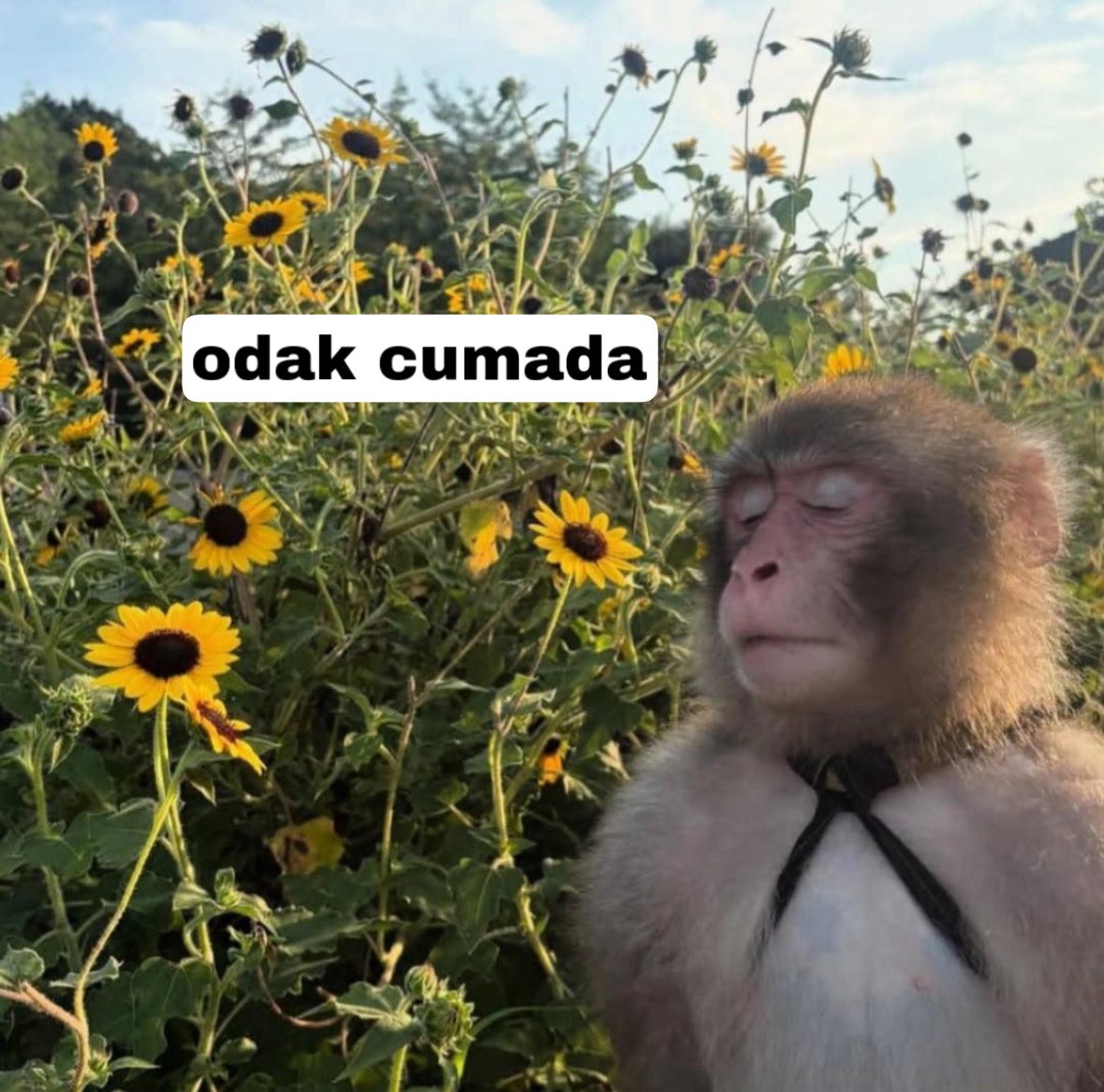 pazartesinin 1. dakikası