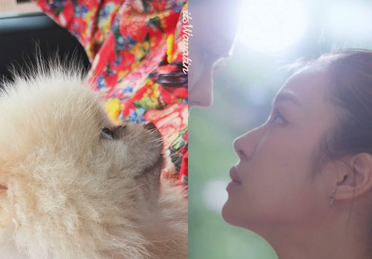 สำเนาถูกต้องแบบ3,000%เลยค่ะ 

#MiuNatsha #หมิวณัชชา