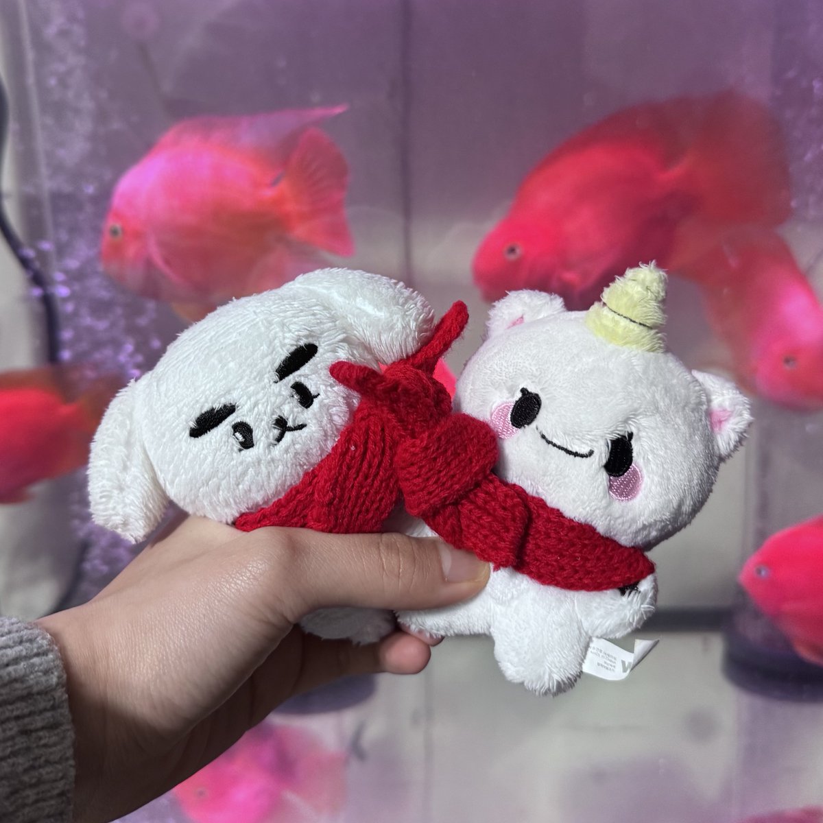 香菜多力多滋 tweet media