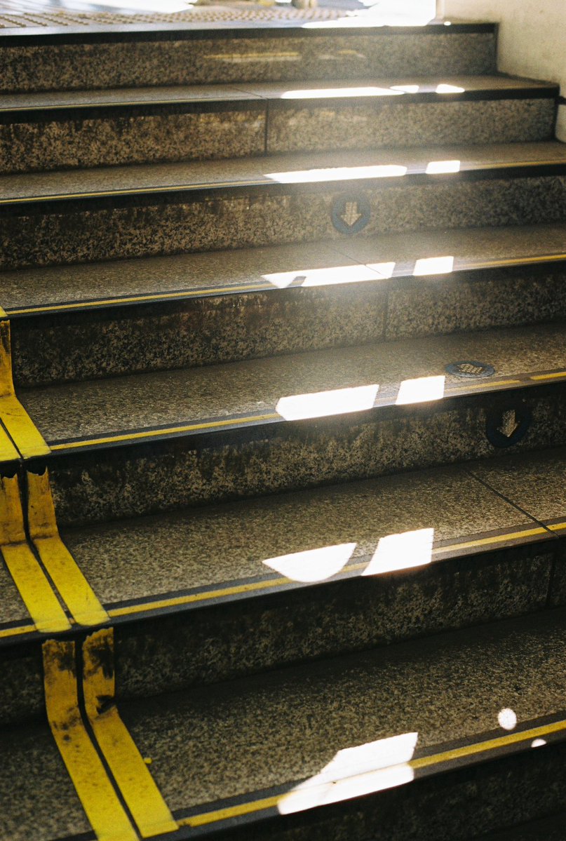 Nikon F100 ✦ Tall Frames