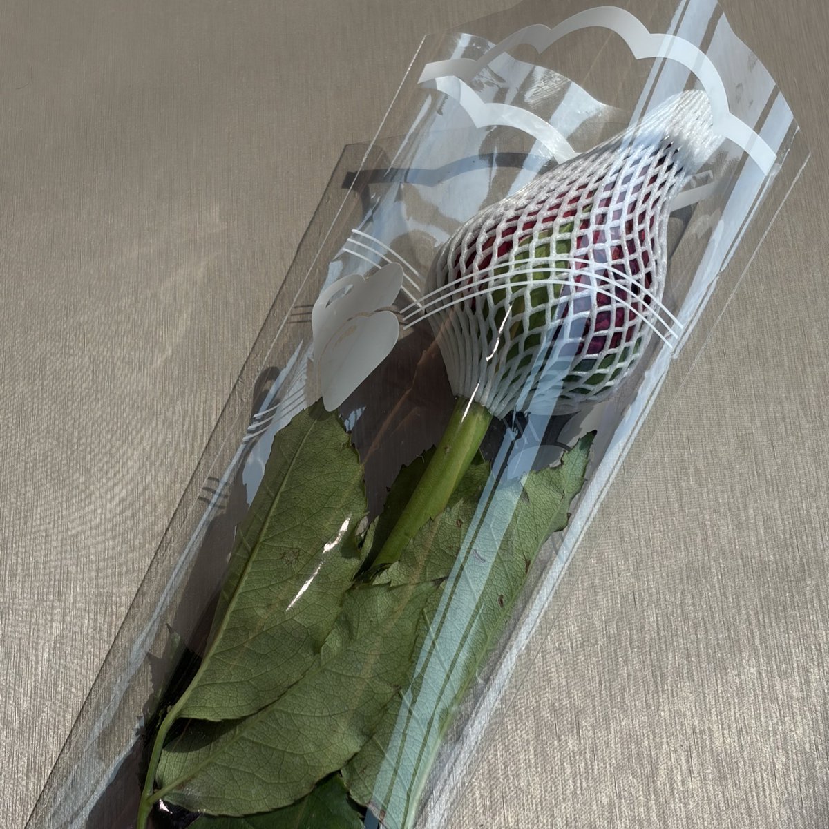 รักน้ำปิงมากๆㅠㅠ