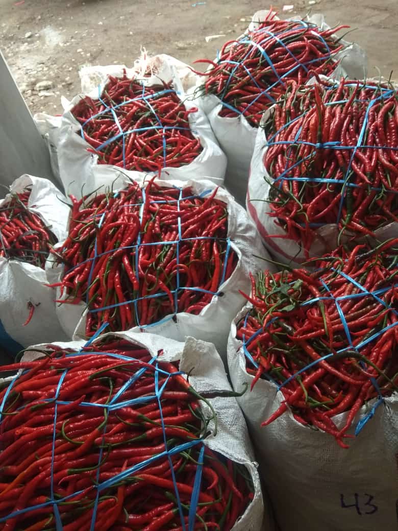 LikYoko's tweet image. SALTO PING TELU
          🤸🤸🤸

     Rp73.000                Rp27.000