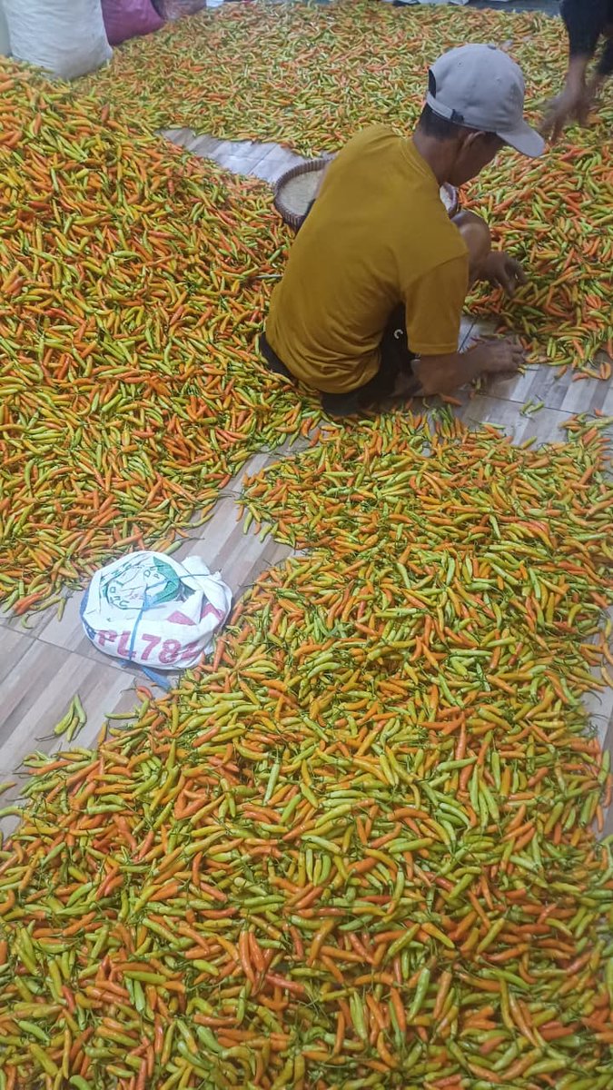 LikYoko's tweet image. SALTO PING TELU
          🤸🤸🤸

     Rp73.000                Rp27.000