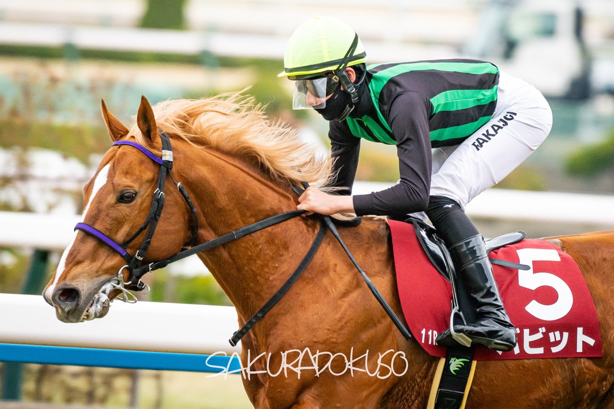 陽だまりの逃亡者
#バビット