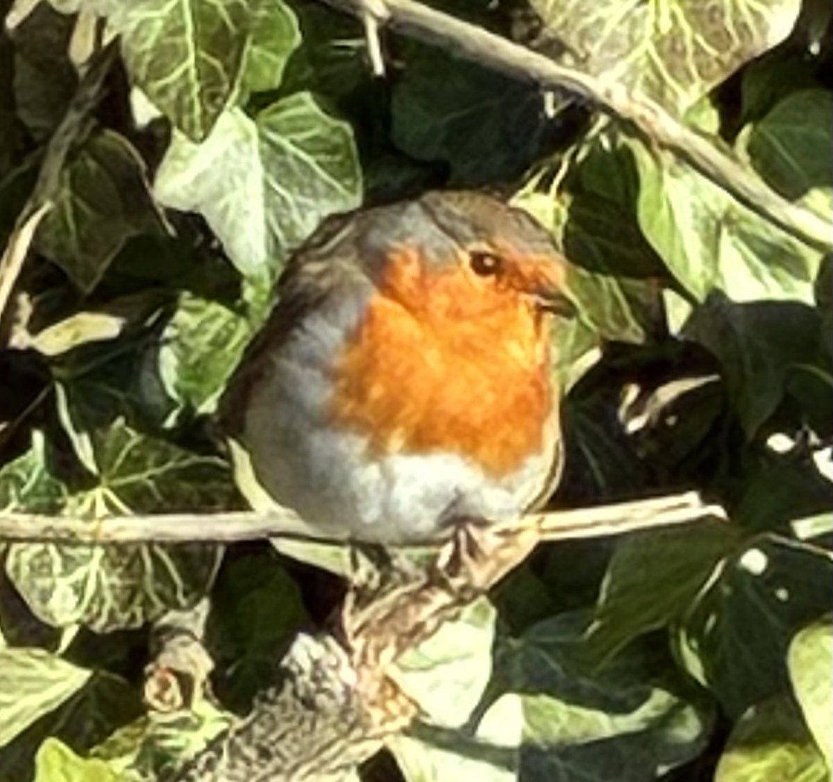 Revd Dr Geoff Morgan tweet media