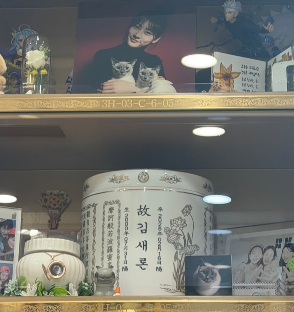 A year has passed since the late actress Kim Saeron passed away 🥺 We miss you 🥲🤍 •kdm•