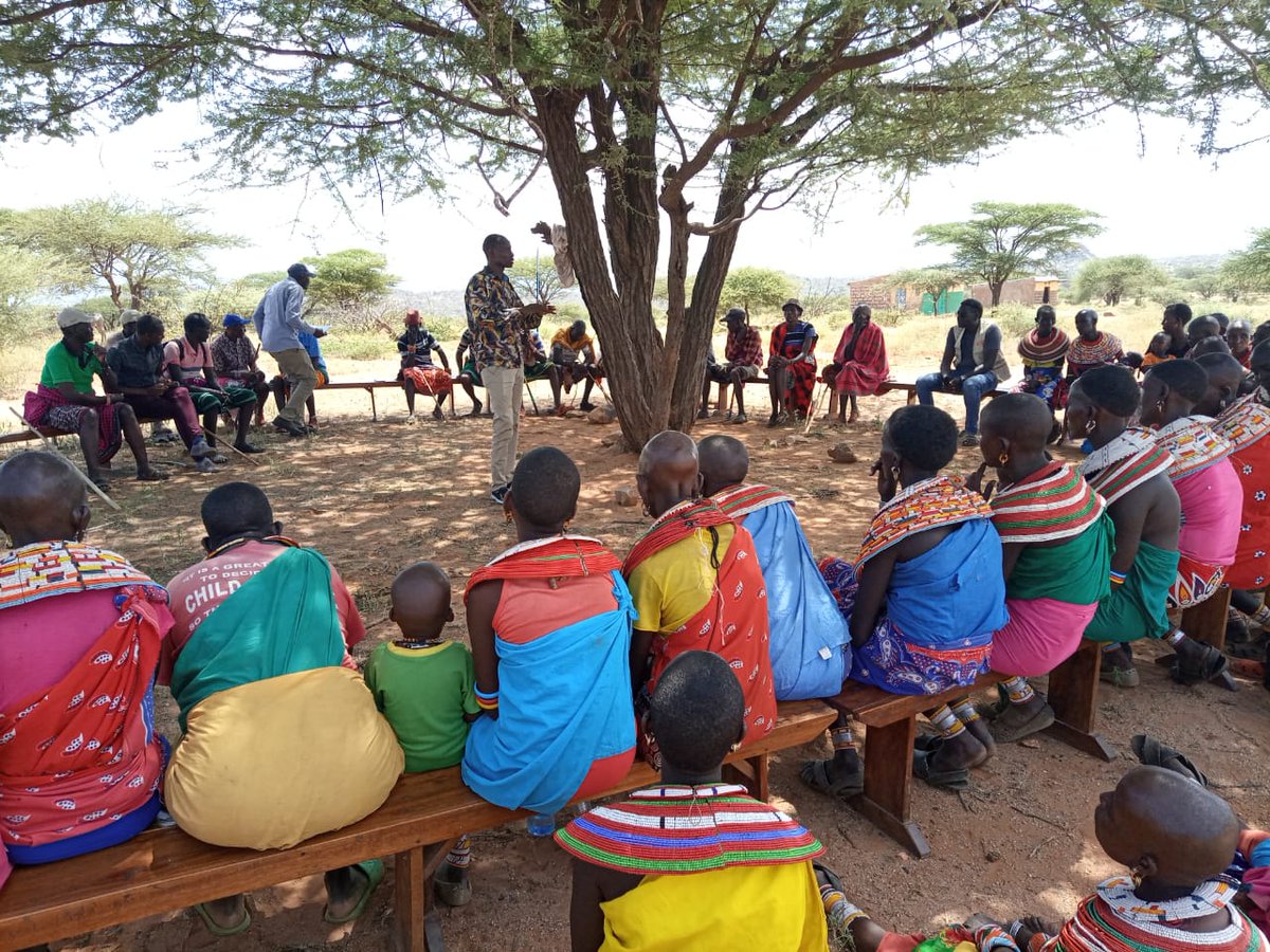 #MenEndFGM tweet media