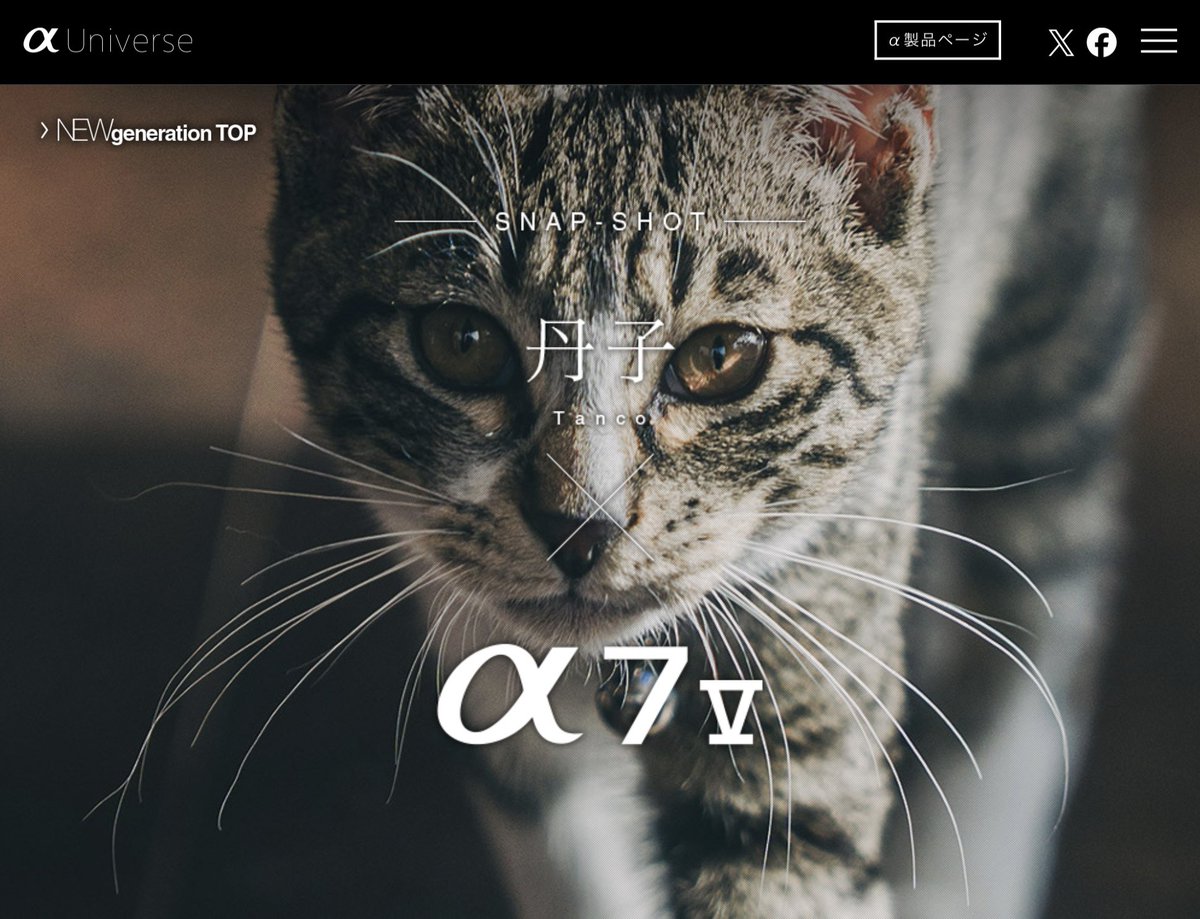 丹子tanco tweet media