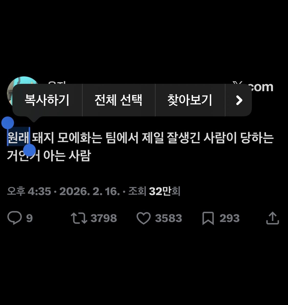 밍밍해요 tweet media