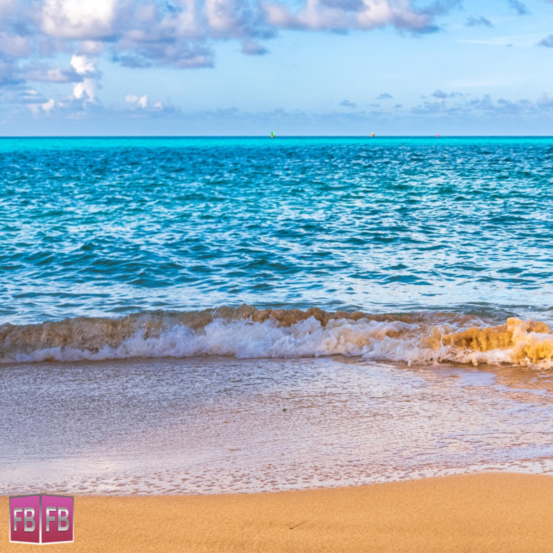 ForeverBermuda tweet media