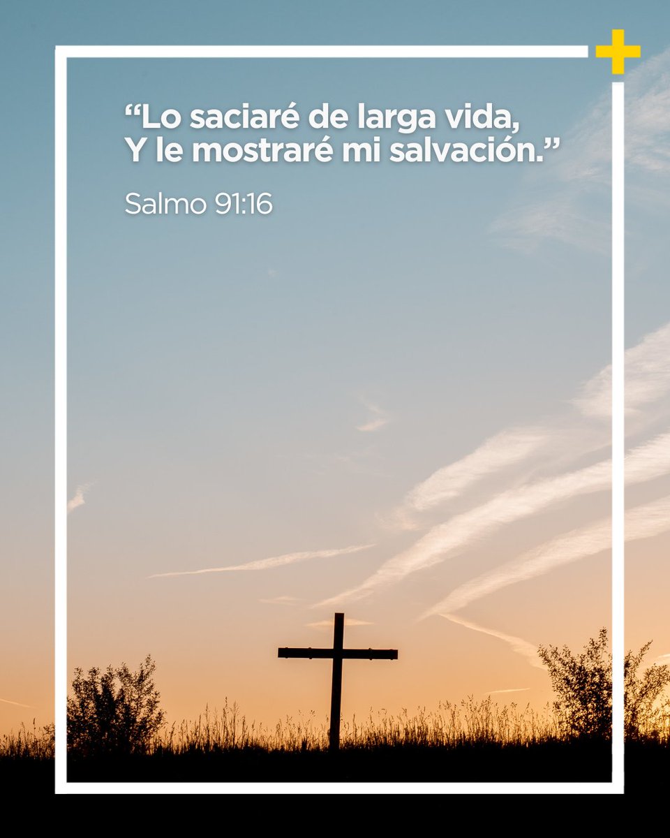 canalLUZ tweet media