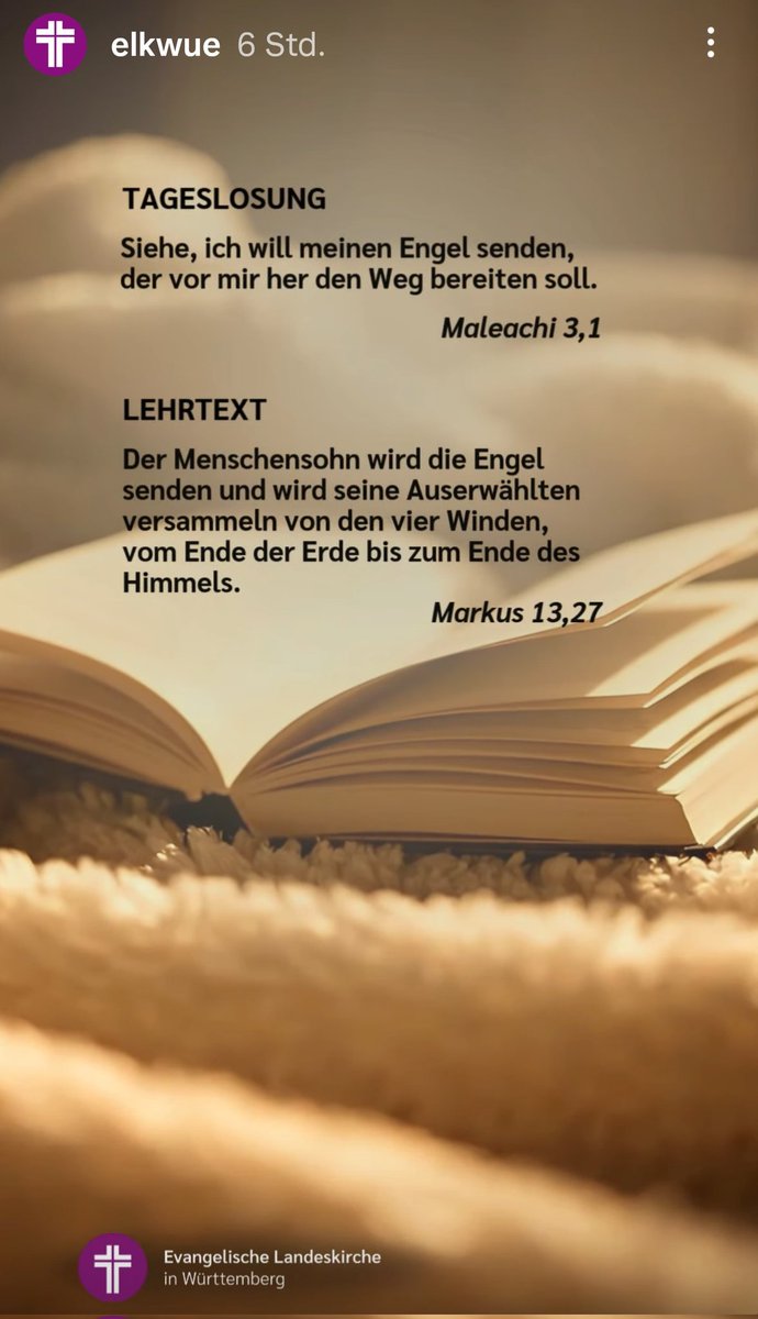 Claudia Raißle (@rai_claudia) on Twitter photo 