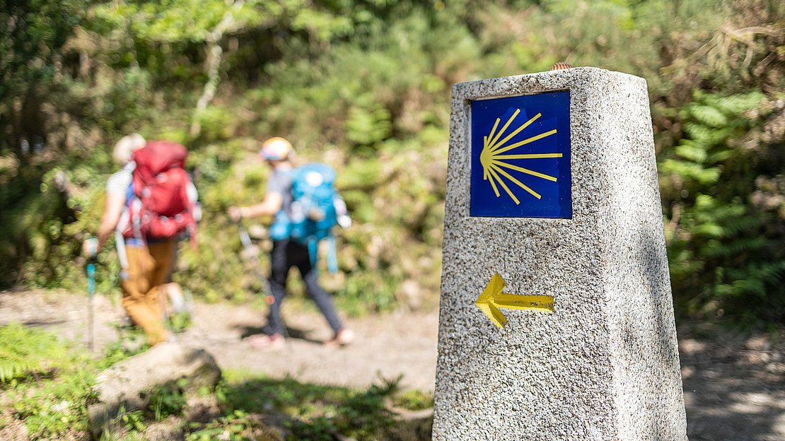 VALLÉE D'ASPE. Le projet transfrontalier « VOLVER AL CAMINO » continue sur sa lancée pour redynamiser la Voie d’Arles (GR® 653). Notre article 👉 petitesaffiches64.com/toutes-les-act…