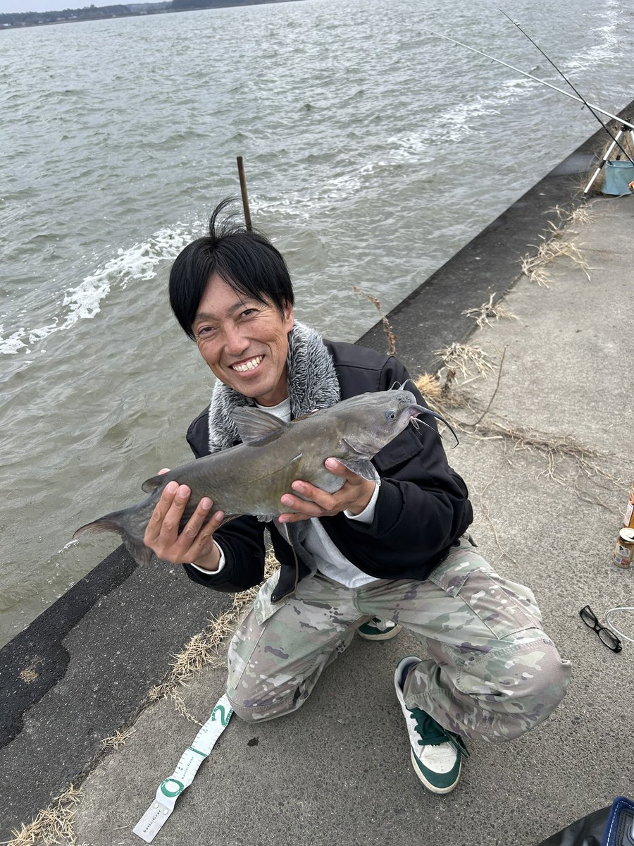 Spirit0116's tweet photo. 今日も霞の呼吸をしてきました！（╹◡╹)遠投ロッドとラジコンボート駆使して大小8匹くらいの釣果でした！#アメリカナマズ　#アメナマ https://t.co/EbFU7l0Cur