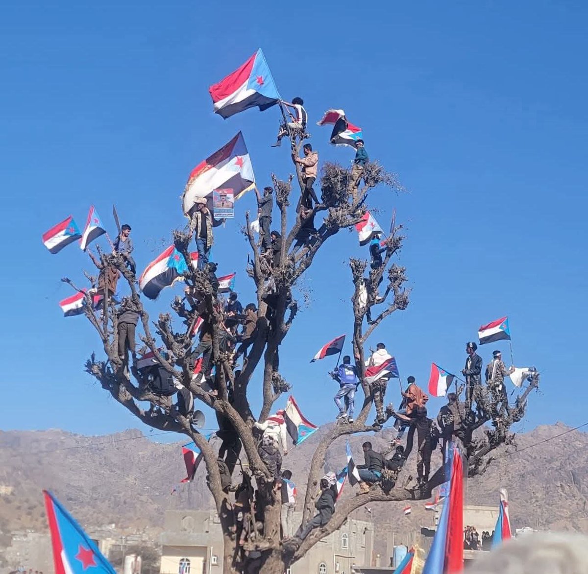 وش طلعو يسوو فوق الشجرة؟
التسلق غريزة القرود