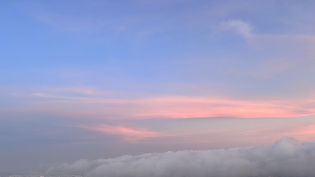 forget-me-not tweet media