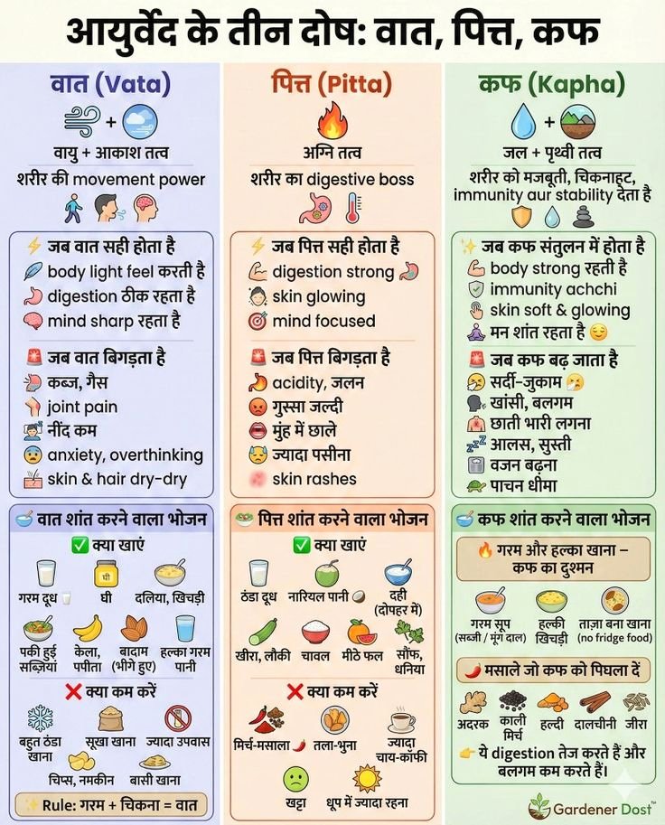 आयुर्वेद में तीन प्रकार के दोष – वात, पित्त और कफ – शरीर की स्थिरता और स्वास्थ्य के लिए जिम्मेदार होते हैं।