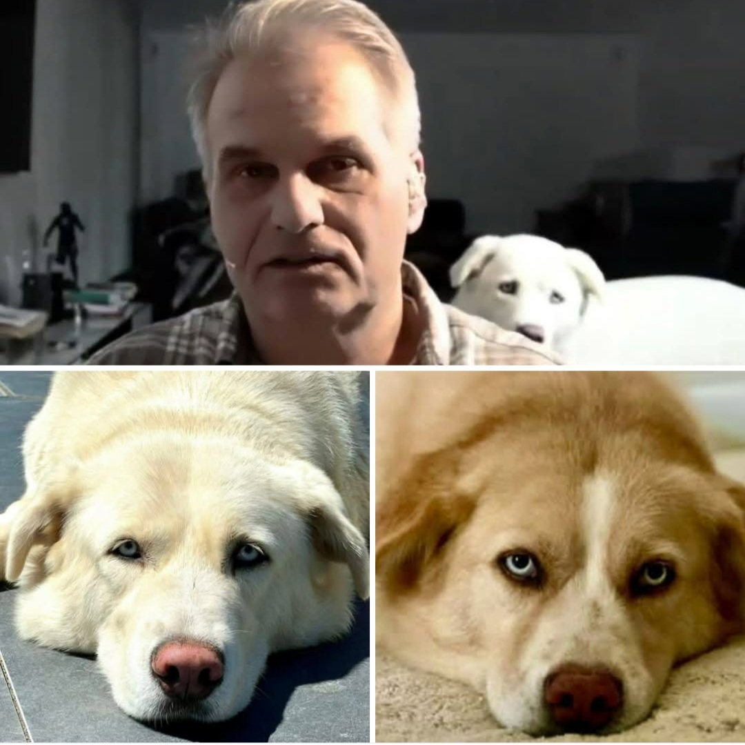 FreeReinerFuellmich 🌍🌎🌏 tweet media