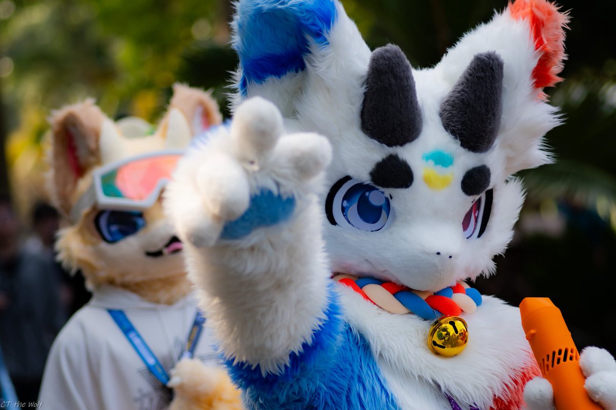 CT the Wolf➡️UTFG tweet media