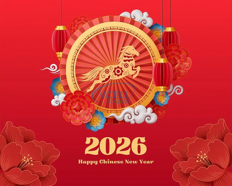 Happy Chinese New Year!🧧