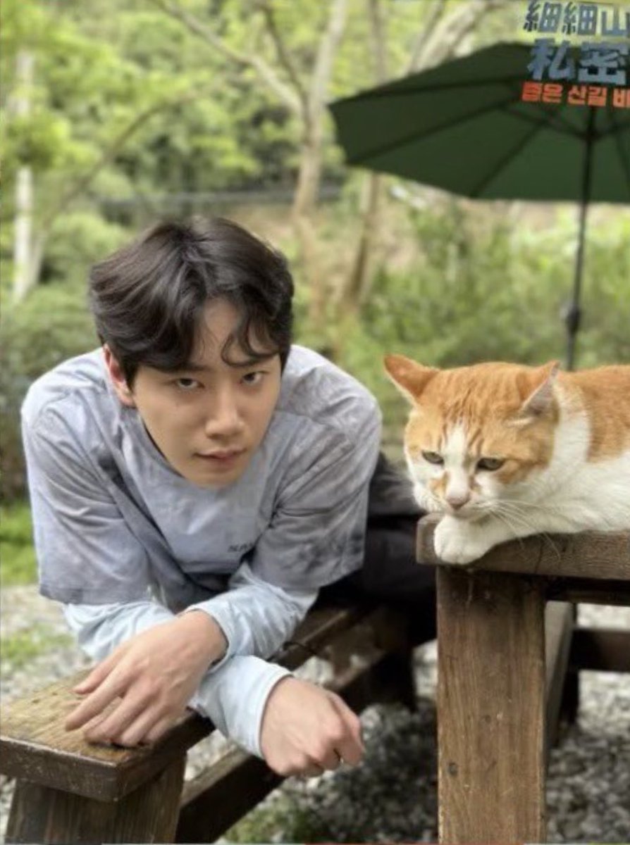 진짜 고양이 따라한다고
개씅난표정짓는거 너무 귀엽고 개웃겨ㅠㅠ