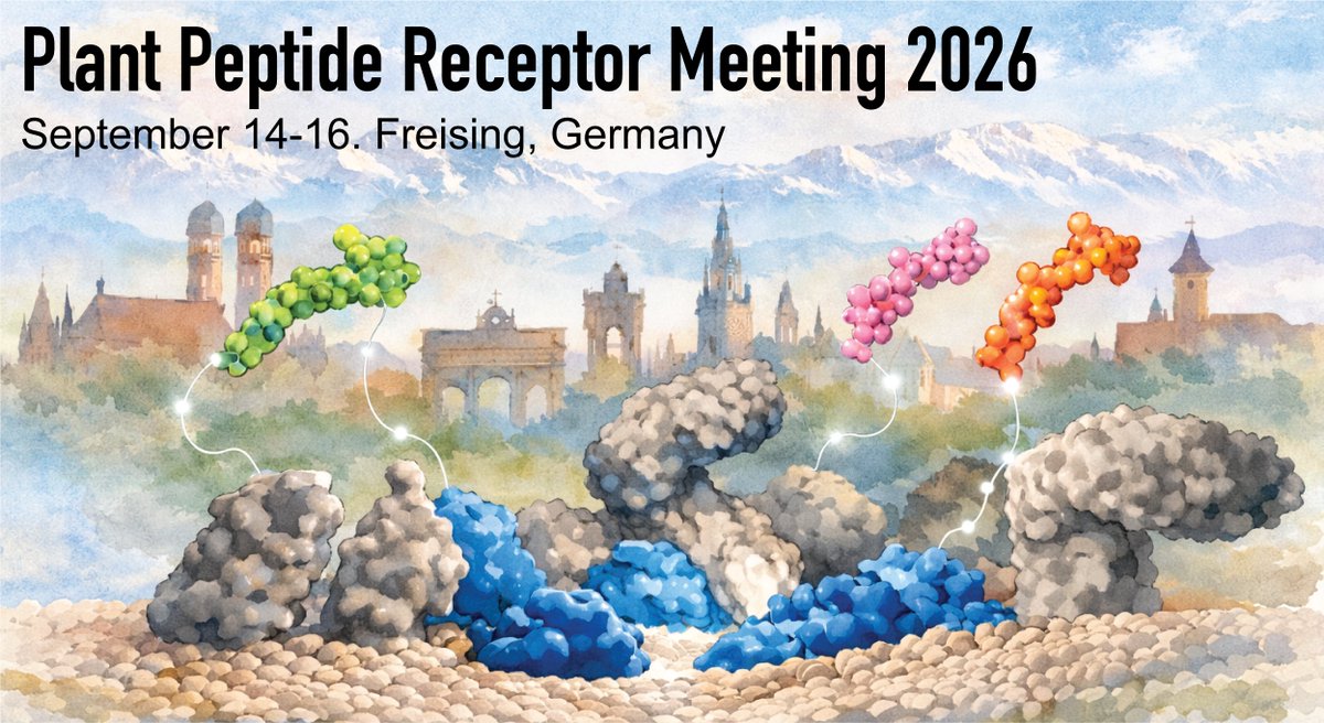 Julien Gronnier tweet media