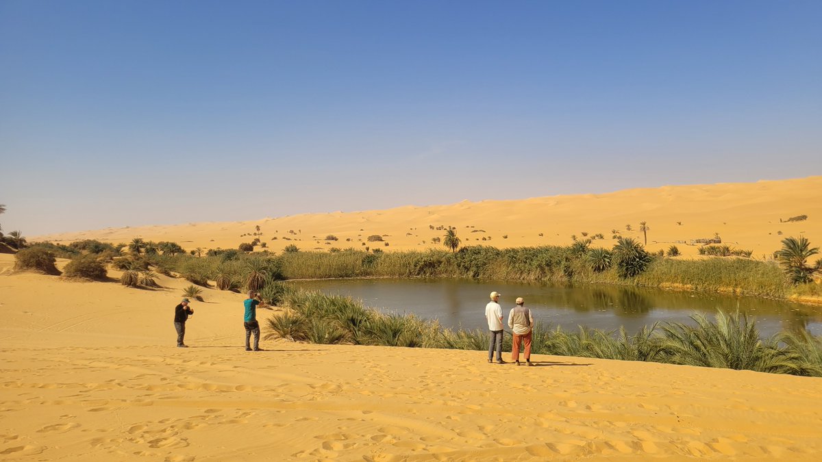 Untamed Borders tweet media