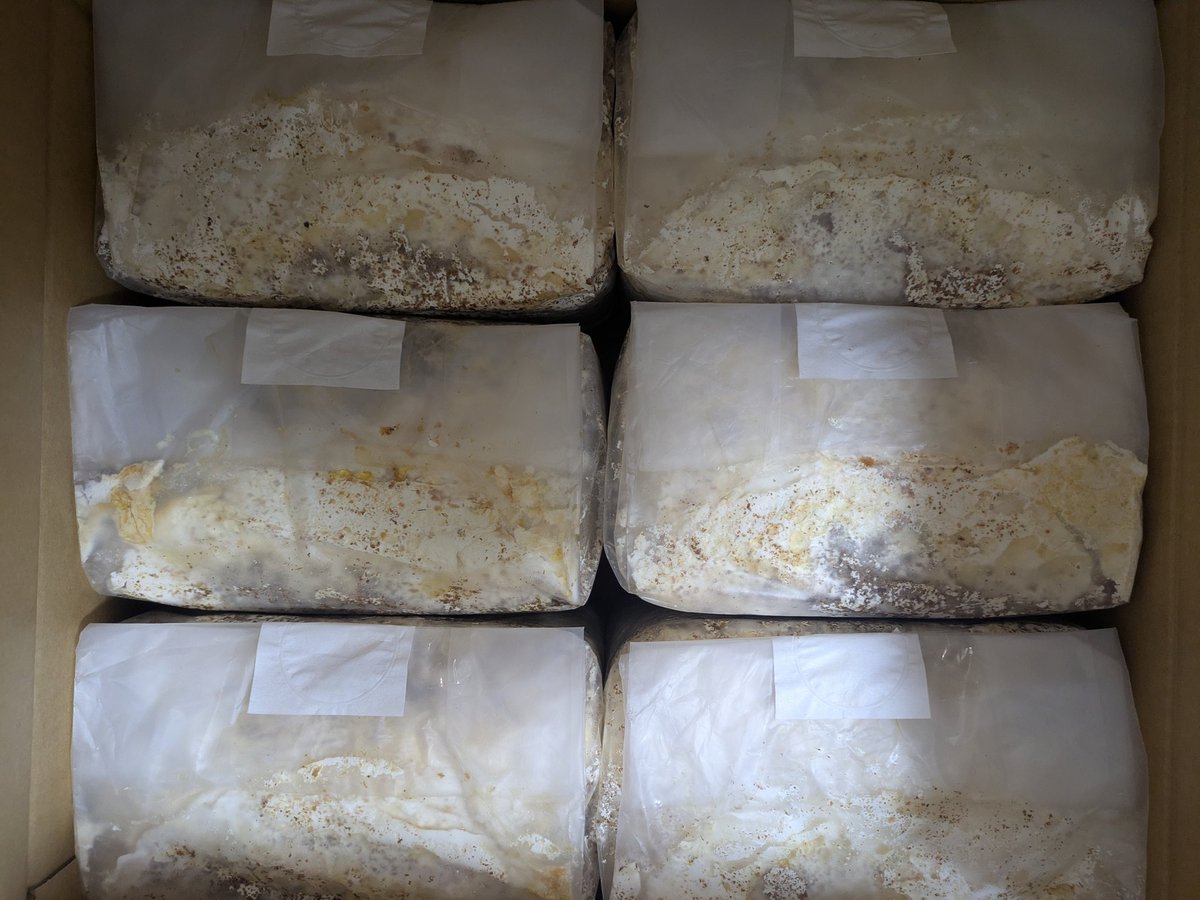 ゼロイチ01 tweet media