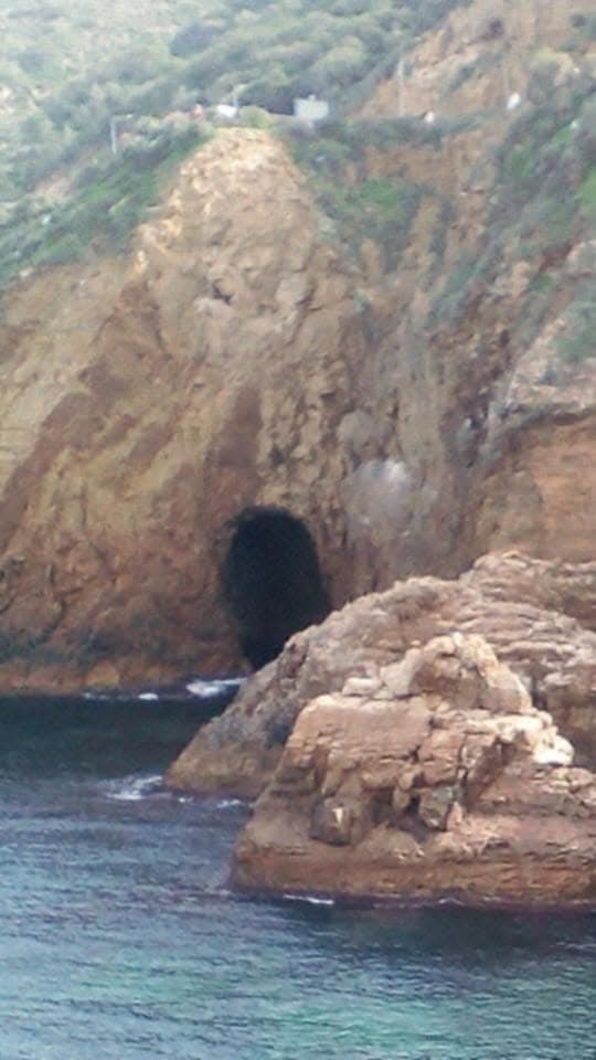 🔱 لَطۣۗہفۣۗہيۗ🇩🇿⚜️🔱مۣۗہلَكۣۗ🇵🇸⚜️آلَردُ🔱⚜️ tweet media