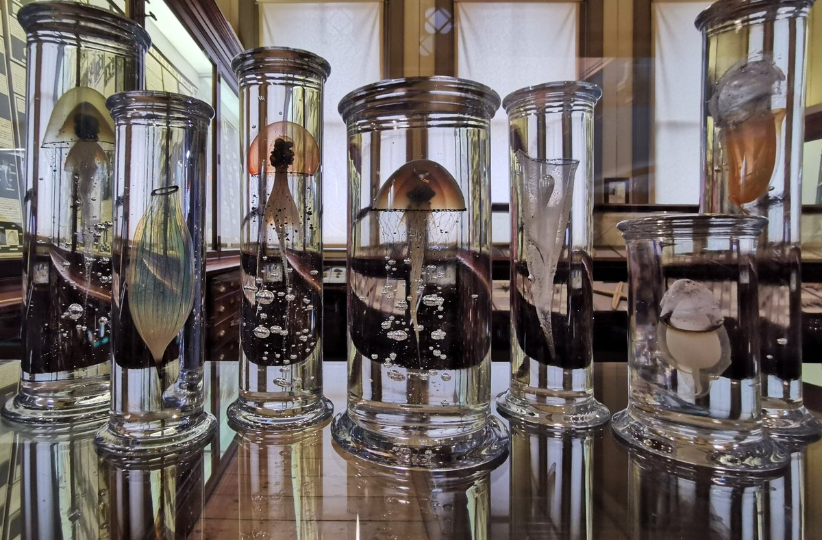 AI Is In Its Gentleman Science Era. AI research is wide open for builders with heretical ideas. The window won’t last forever garryslist.org/posts/ai-is-in…