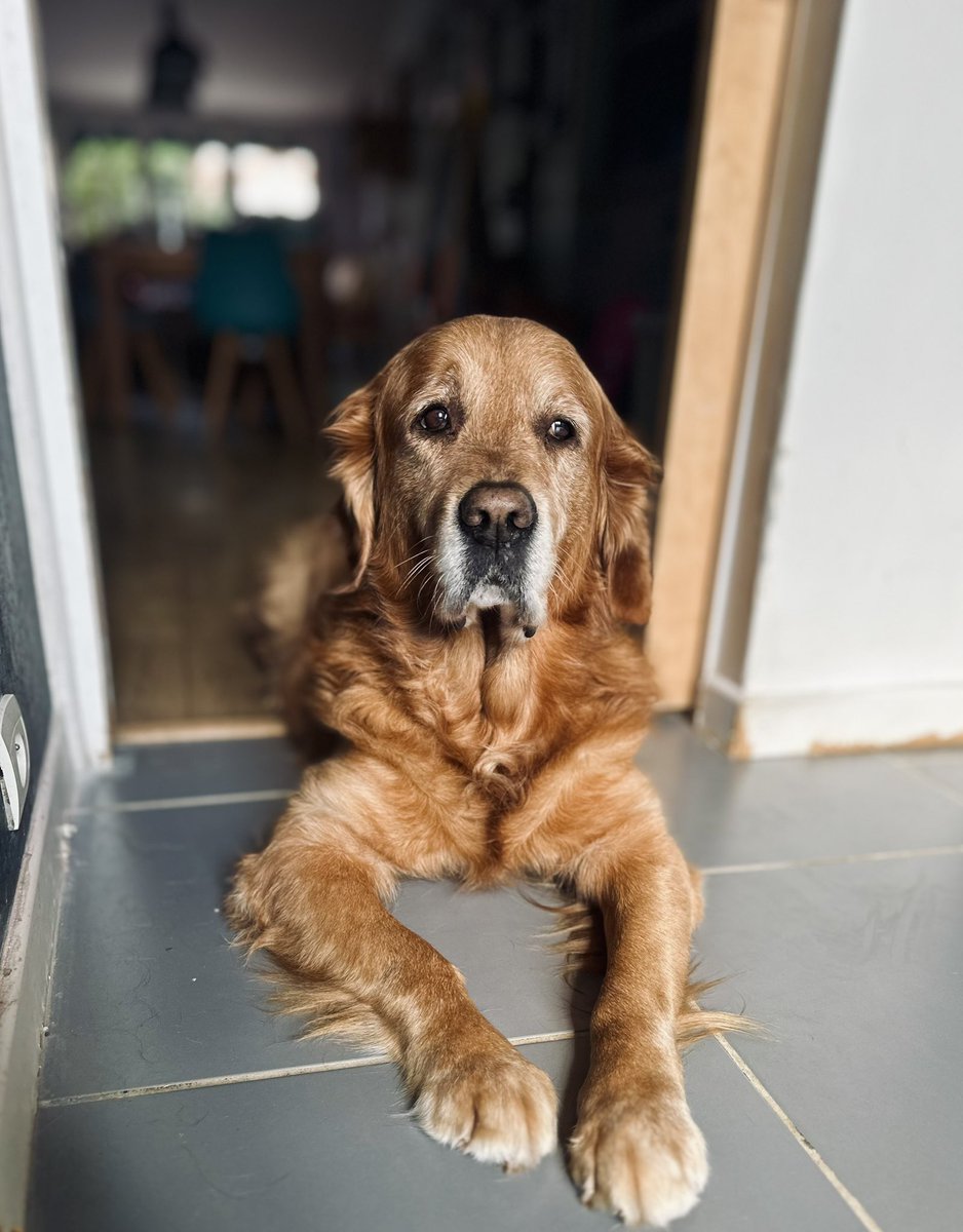 Mon vieux pépère 🧡