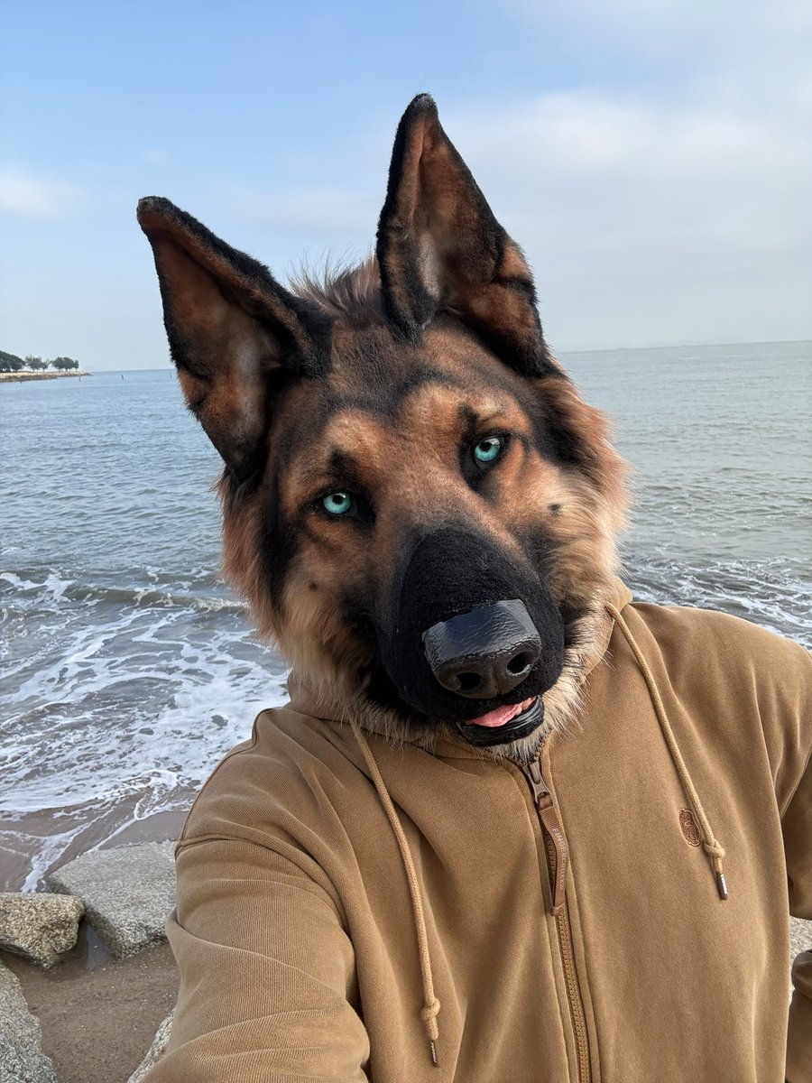 狗王🇺🇦 tweet media