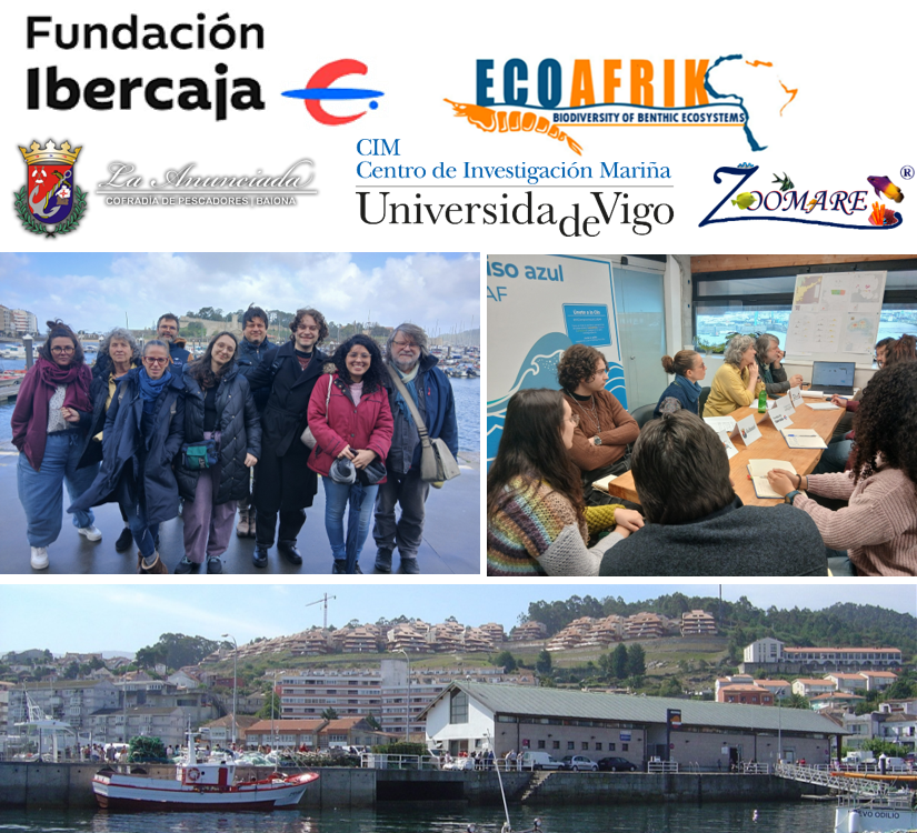 EcoAfrik Platform tweet media