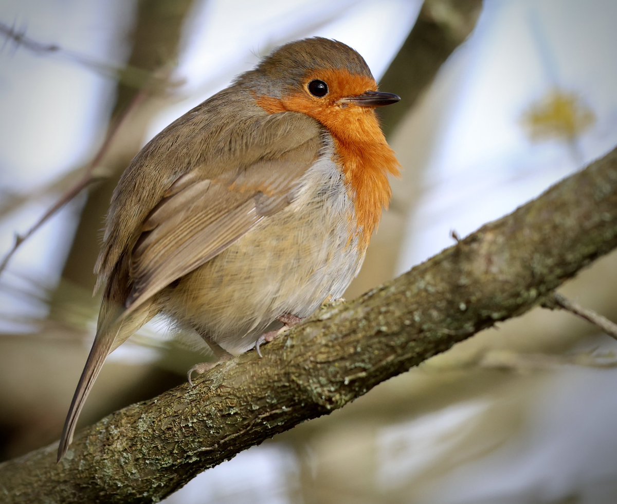 Frank Gardner tweet media