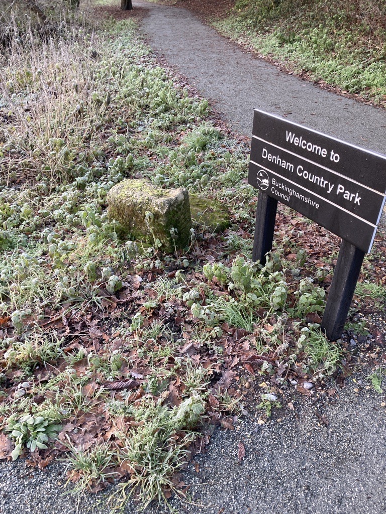 Bucks Country Parks tweet media