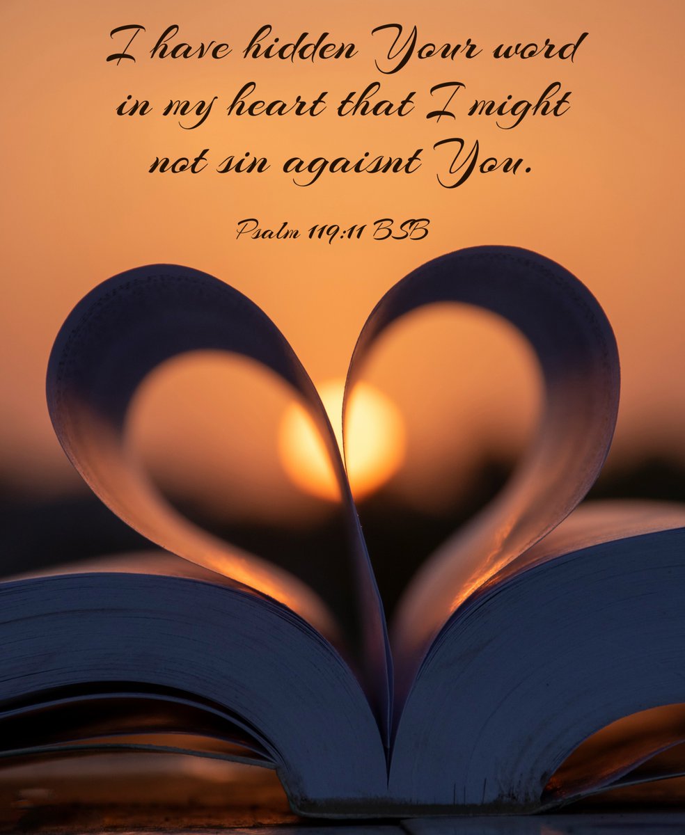With all my heart I have sought You; do not let me stray from Your commandments. (Psalm 119:10 BSB)