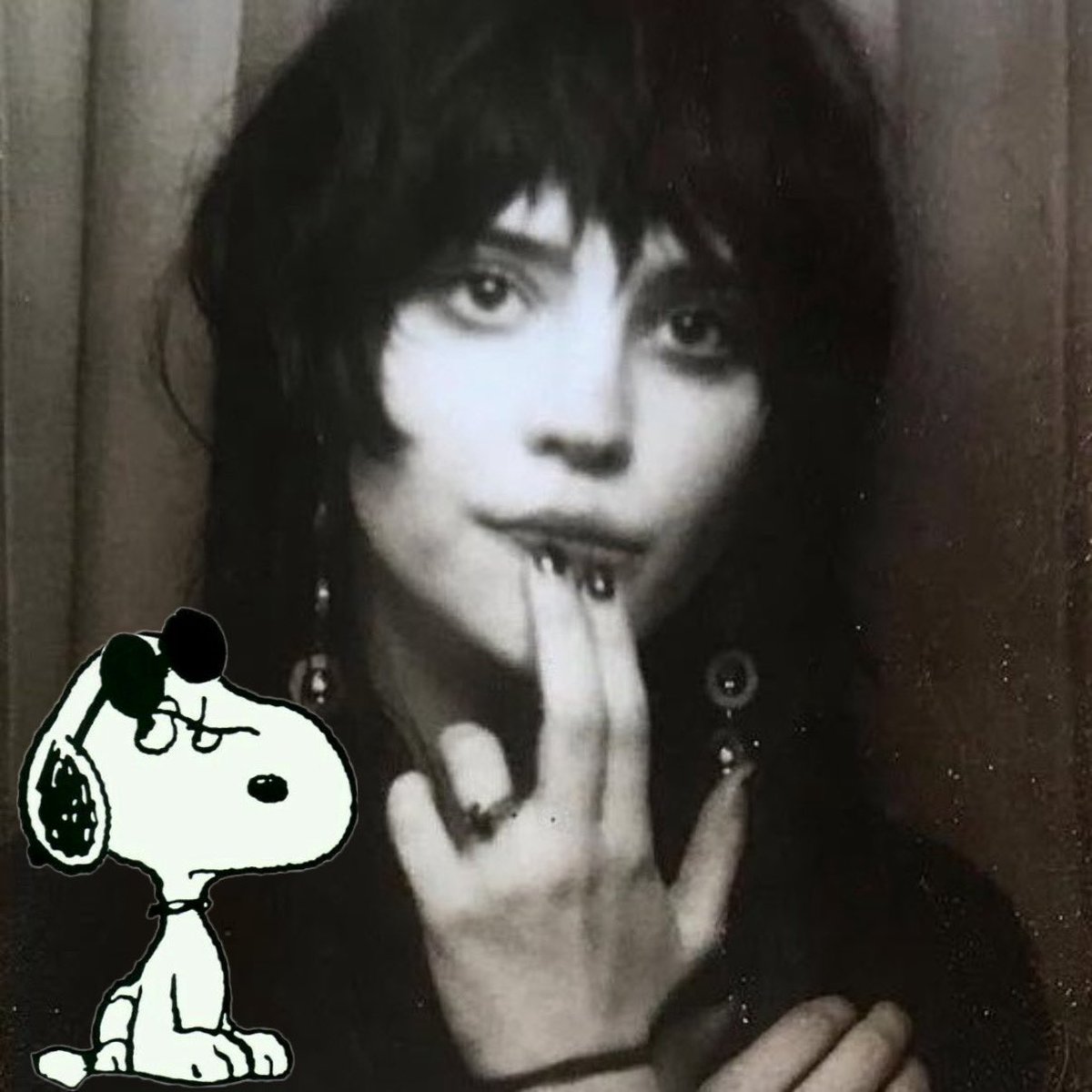 snoapy nation tweet media