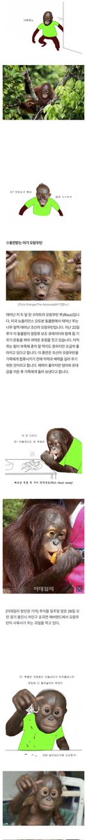 henjeu7089's tweet photo. 한녀가 한 짓:인종차별
한남이 한 짓:코피노 5만명 만들기,동남아 아동 성매수 1위 찍기,베트남 아내 폭행•살인 하기,베트남 여자 수입 발언,다문화 가정 비하하는 아빠왔노 만화
그러면서 동남아 한혐이 한녀 탓이라는 능지 ㅋㅋ 능지 수준이 동남아 여자랑 잘어울리네 https://t.co/PRrsORWmZW