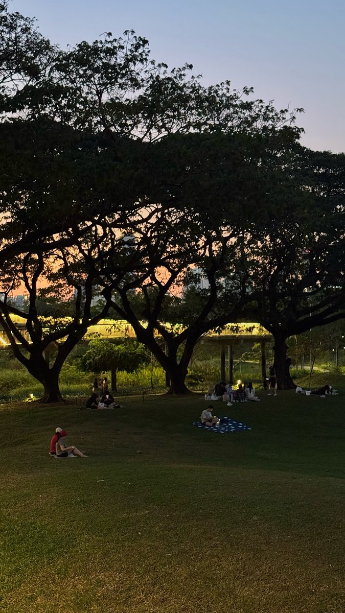 ยืนยันคำเดิมว่าสวนเบญตอนเย็น-ค่ำใช้คำว่าสวยเปลืองมาก mood เหมือนอยู่ตปทสุดๆ sunset ดี มีที่นั่งชิวเดินเล่น+วิ่งเยอะ จะมาคนเดียวหรือกับแฟนได้หมด ติด mrt ด้วยมาง่ายสุด