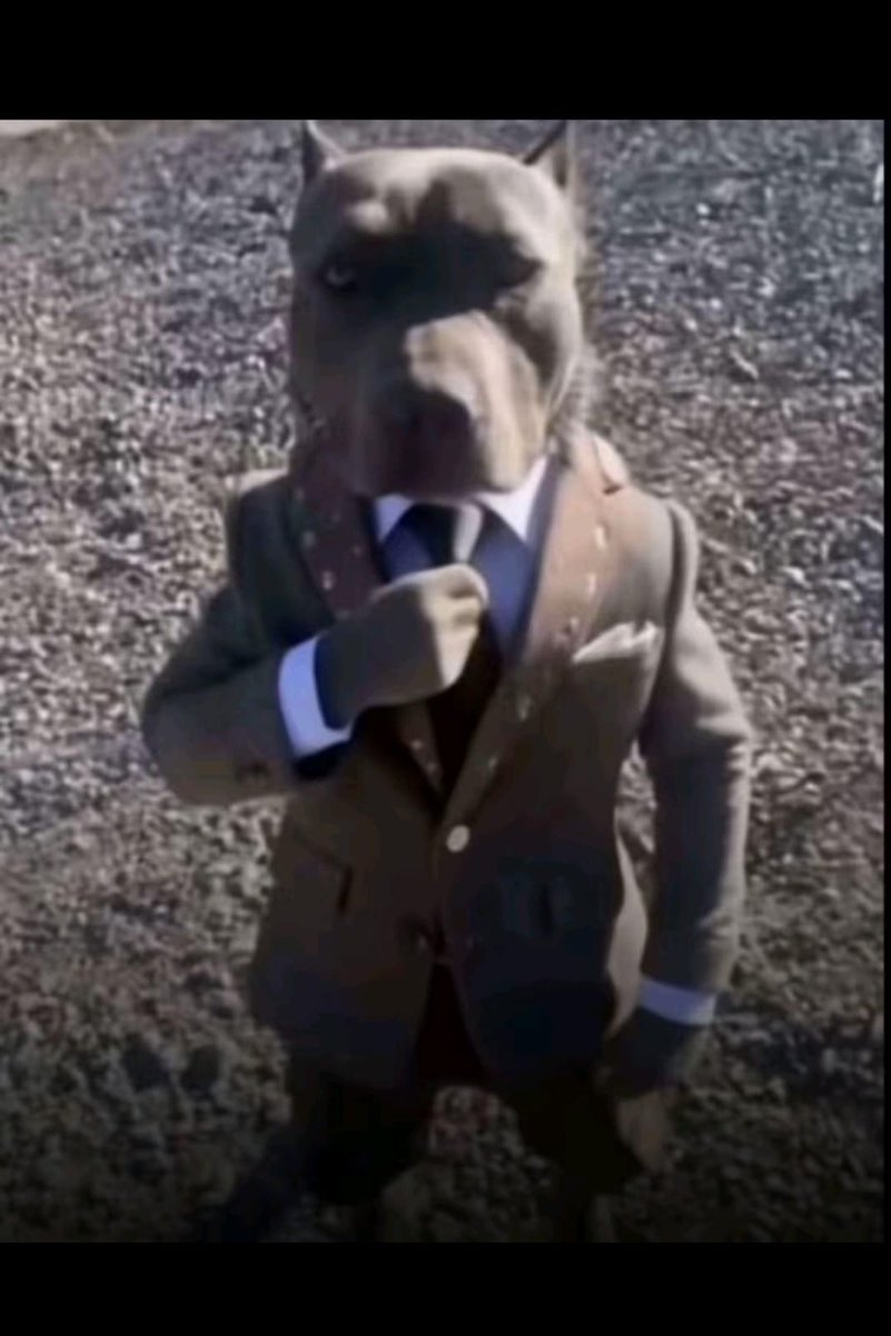 blooz⚡ tweet media