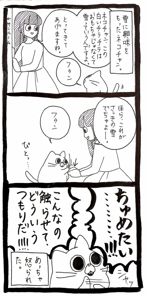 Post by うさぎのみみちゃん😇2/22コミティア東5O28b on X: ﾈｺﾁｬﾝと雪