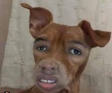 El therian cuando le tiras un guineito del pica pollo que te estás comiendo