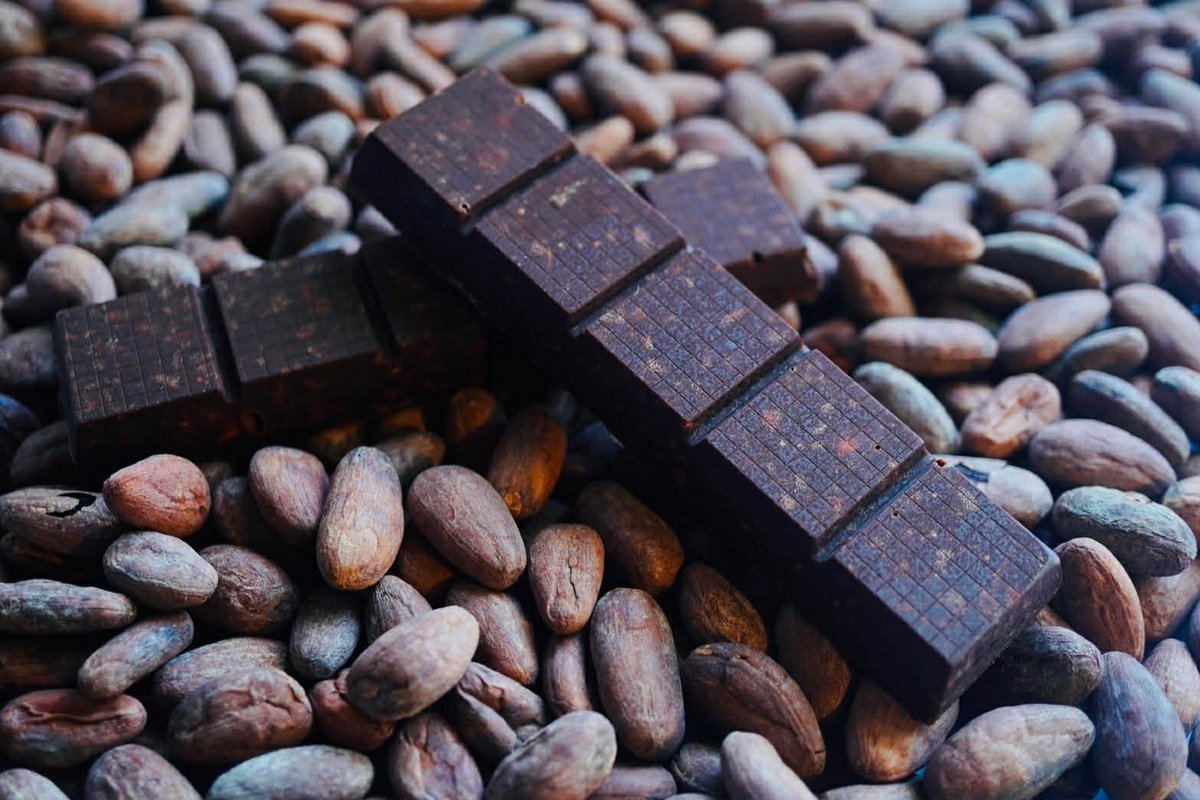 ぺッカリー/かなりアブナイかわいさのヘソイノシシ土偶^^ tweet media