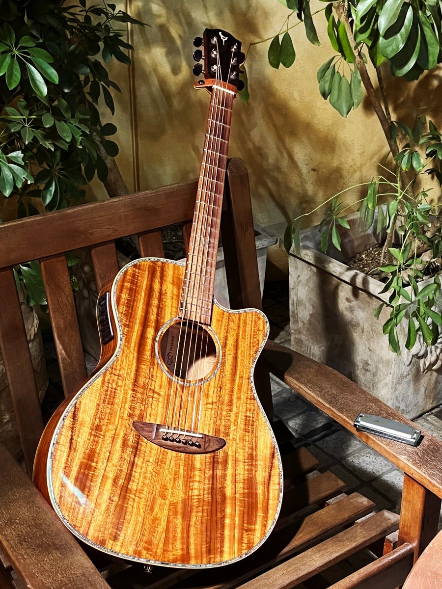 NO LABEL MUSIC tweet media