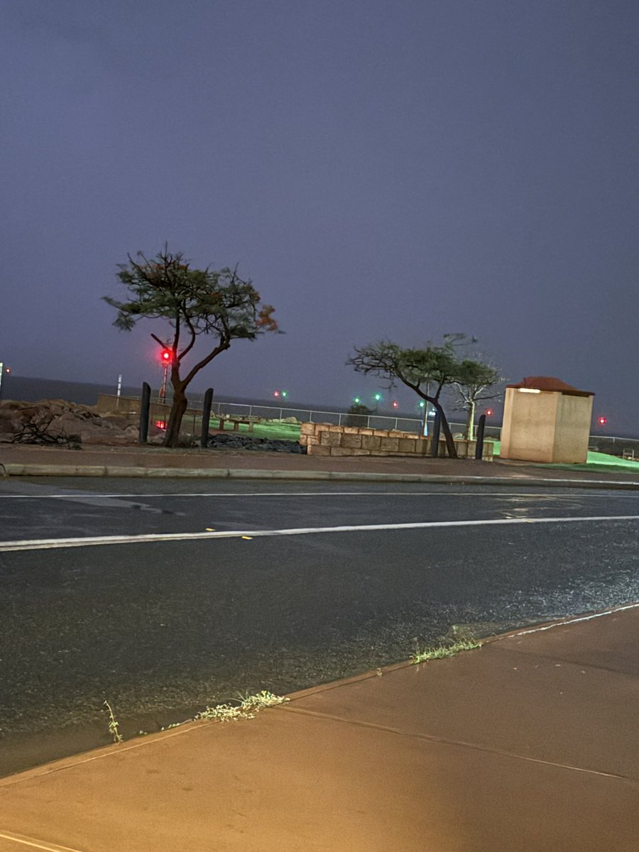 Capt_Chronicles's tweet image. Mount Hedland loading Mineral Iron ore at a BHP terminal in Hedland , this ship is probably LNG powered as well!!

Further do notice the red and the green buoys , these are for guiding the ships into ports , these represent safe water within them , meaning apt depth of water for