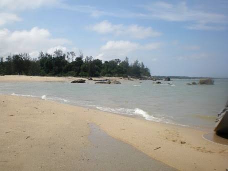 Margaret Joseph tweet media