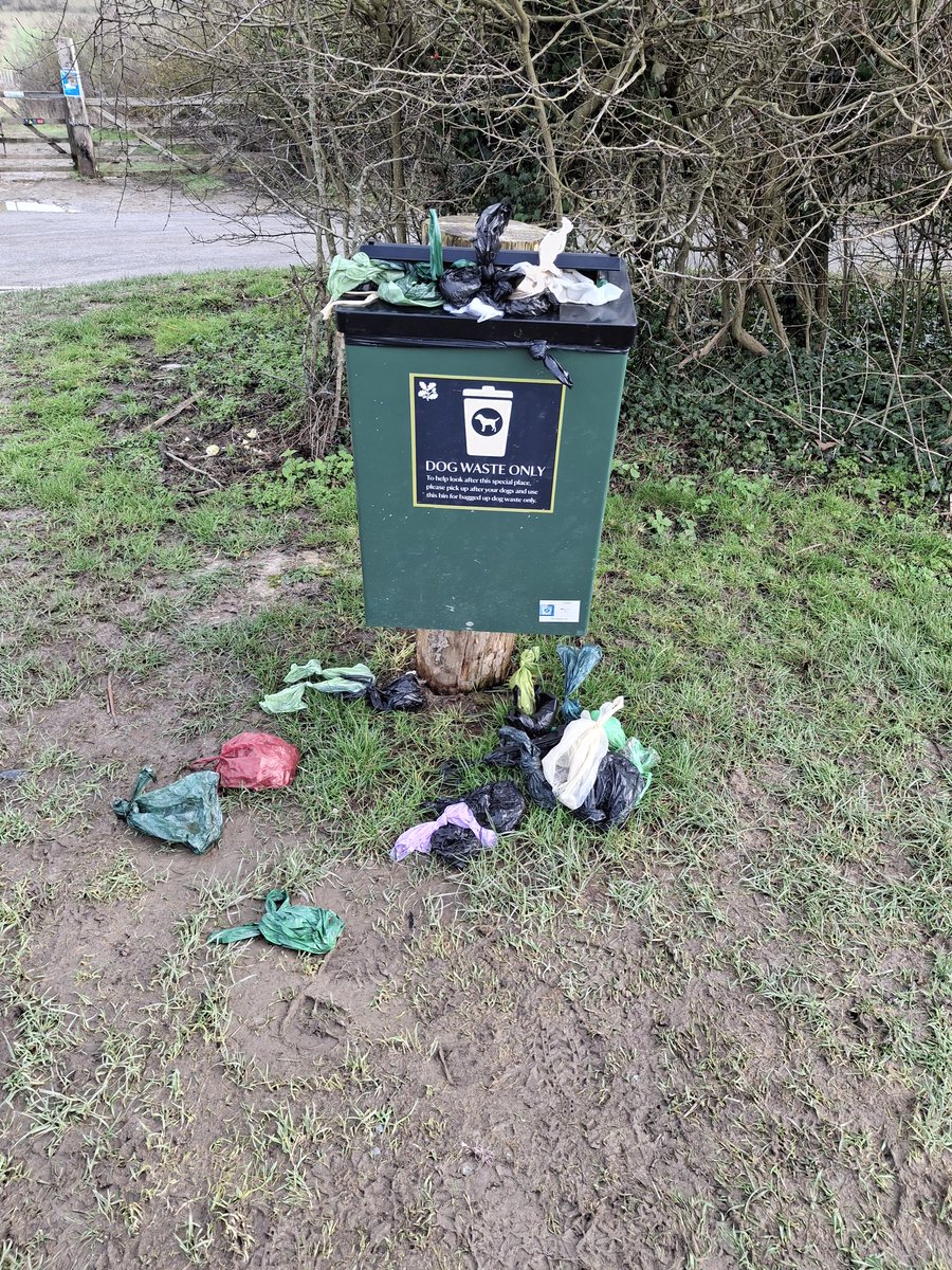 Clare Foster tweet media