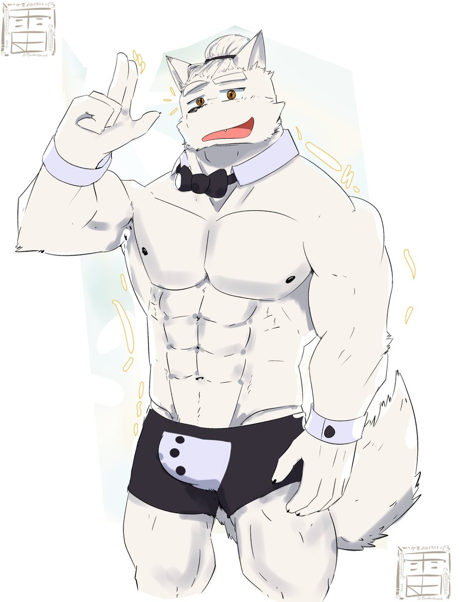 Bruno O' Donnell - The Bara Arctic Wolf 💪🐺 tweet media